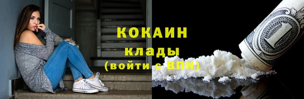 шишки Аркадак