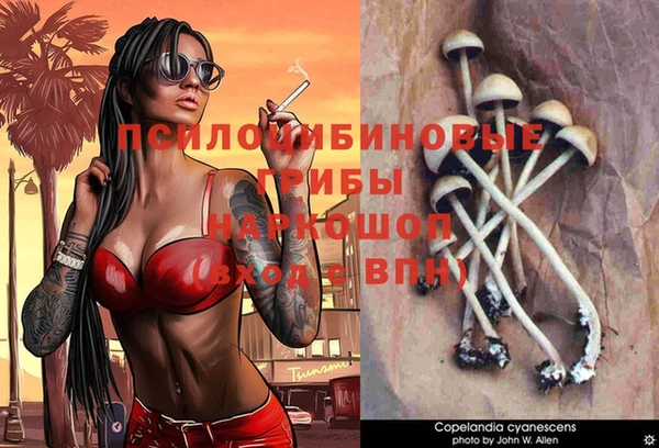 шишки Алзамай